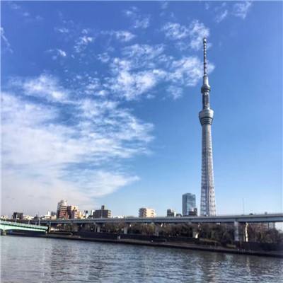 迷你世界枪战精英